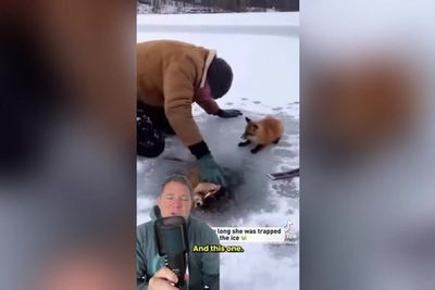 BBC legend issues warning over ‘AI slop’ animal videos