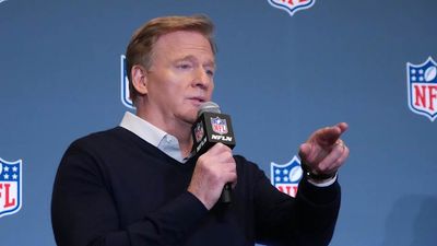 Roger Goodell Offered NFL's Help As Challenges to NCAA Eligibility Rules Mount