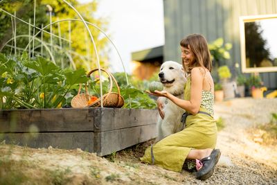 Dog Owners Shocked After Learning Their Mulch May Be Toxic