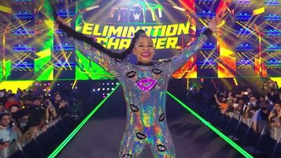 I Think WWE Needs To Make A Change To How Elimination Chamber Works