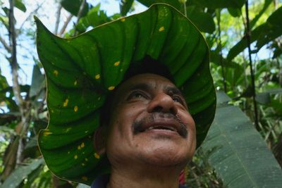 Seed guardians of the Amazon: A family's solitary fight to save endangered plants