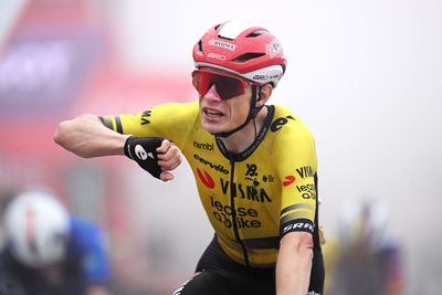 'It is better to fully recover' – Jonas Vingegaard delays season start after crash and illness