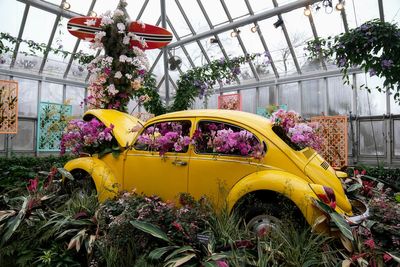 Photos of Chicago’s retro '70s themed orchids show