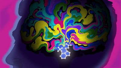 Psychedelics may rewire the brain to treat PTSD. Scientists are finally beginning to understand how.