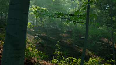 Unreal Engine 5.7 procedural content generation updates explained