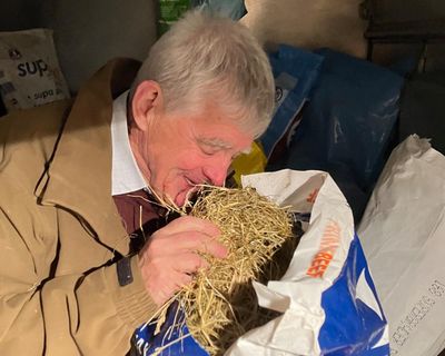 Country diary: Which farm produces the smelliest silage? I went to find out