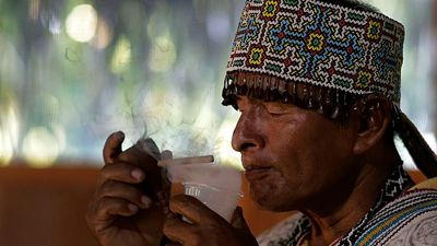 Ayahuasca retreats are booming in Spain, one of the only European countries with a legal loophole