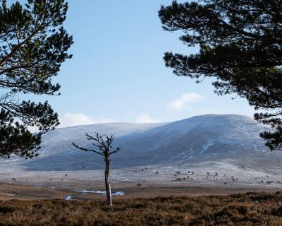 Wealthy use loophole to conceal value of £300m in Scottish land sales