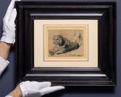 Rembrandt lion drawing raises $18m for big cat conservation at US auction