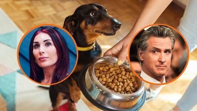 Laura Loomer calls Governor Newsom a ‘fat slob.’ In turn, he tells America she eats dog food. Literally