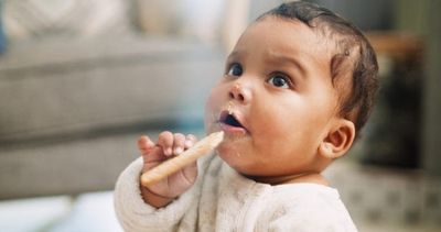 Gerber Recall: Popular Baby Biscuits Pulled for Plastic Contamination Risk