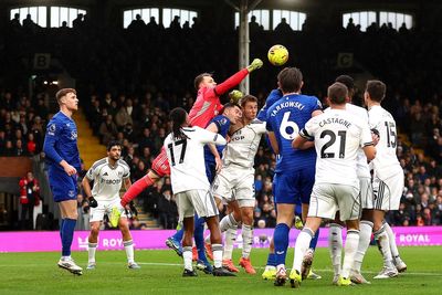 Fulham 1-2 Everton: Cottagers stunned as Bernd Leno own-goal seals Toffee's comeback win