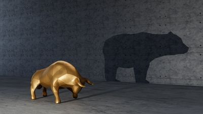 The Bear Market Protocol: 3 Strategies to Consider in a Down Market