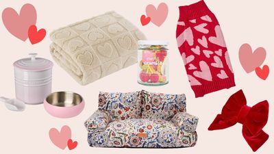 15 irresistible Valentine's Day gifts for pets: all under £50
