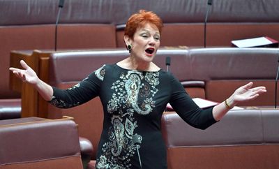 Coalition squabbling and Labor tinkering leave us in a dangerous vacuum. One Nation filling it is a nightmare in the making