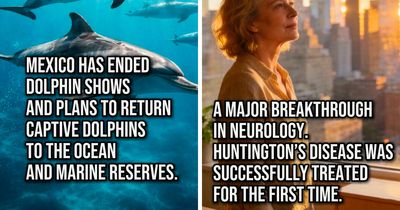 Tired Of Bad News? Here Are 50 Good Things That Happened Recently