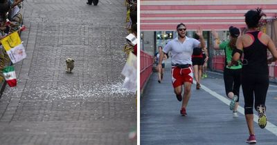 35 Wholesome Pics Showing That There’s Still Good In The World