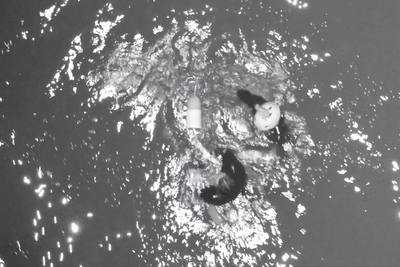 Surfer found clinging to lobster pot buoy by rescuers after being swept out to sea