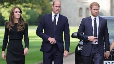 New wedge driven between Prince Harry, William and Kate amid 'battle to stay sane'
