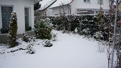 How to protect your lawn after heavy snow: Expert advice on how to rescue your grass before Spring