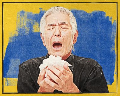 The sneeze secret: how much should you worry about this explosive reflex?