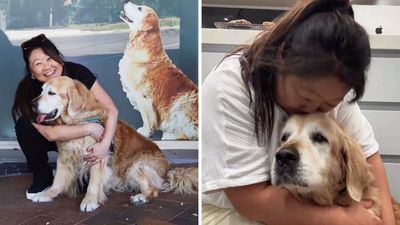 Dozer Maehashi, The Beloved Dog Of RecipeTin Eats’ Nagi Maehashi, Has Died