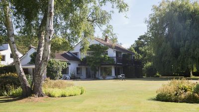 7 Trees that Thrive When Pruned in February – Late Winter Conditions Are an Ideal Time to Trim