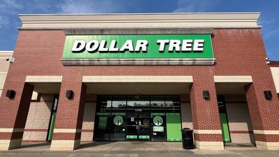 11 Dollar Tree Items Retirees Need To Buy Ahead of Spring 2026