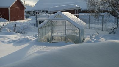 Experts Say These Indoor Greenhouses Are Failing Seedlings in Cold Snaps