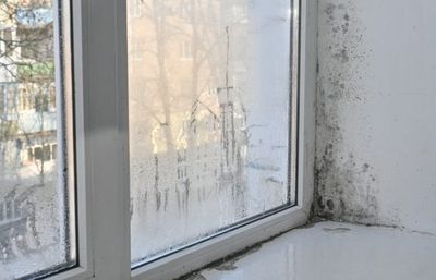 The “Drafty Window” Sign That Means You Have Hidden Rot