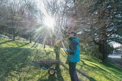 Why Smart Homeowners Are Trimming Their Trees Right Now