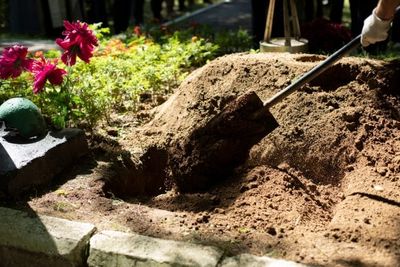 10 Things Experts Say You Should Never Bury in Your Yard — And No, We’re Not Talking About Bodies