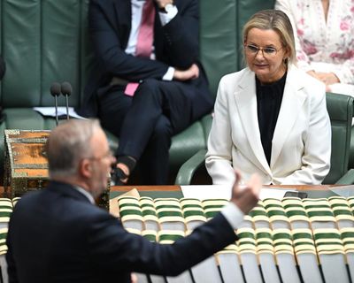 The Coalition has a much-needed chance to hold Labor to account – if they can stop talking about themselves