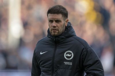 Fabian Hurzeler vows to fight on at Brighton after defeat to Crystal Palace