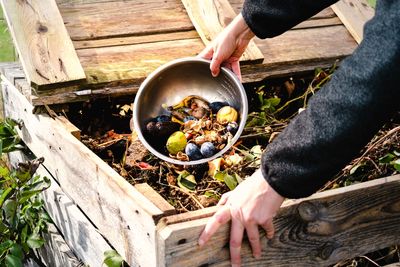 Studies Find Dangerous Bacteria in DIY Compost — Experts Urge Caution