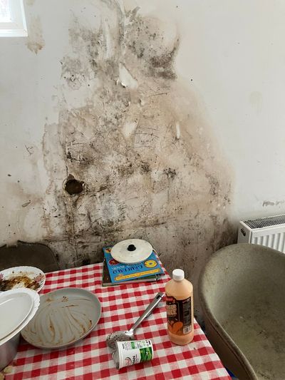 London has worst problem of damp in social homes in England, MPs warn in damning report