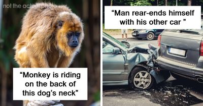 “Can You Believe These People?!?!“: 32 Of The Most Outlandish Things That Have Gone Down In Public