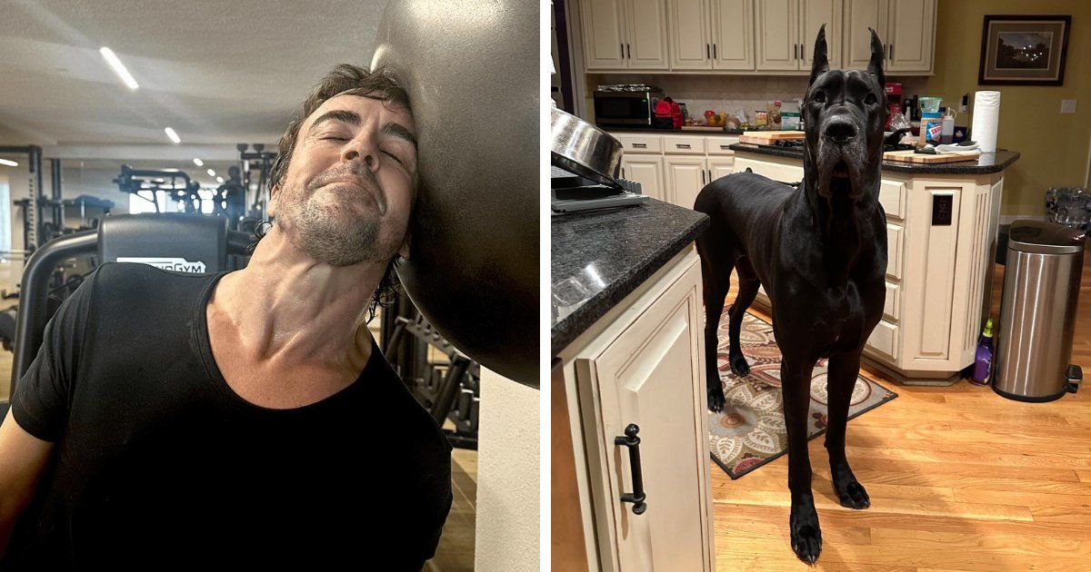 ‘Absolute Units’: 82 Times People Saw Something So Big, They Just Had To Share (New Pics)