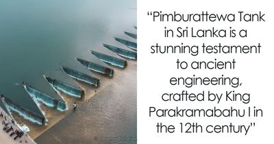 69 Facts That Might Reveal Rabbit Holes That You Haven’t Visited Yet