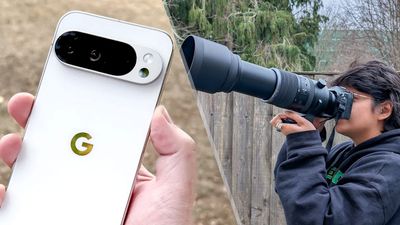 I've been photographing wildlife for 4 years — here's what happened when the Google Pixel 10 Pro XL went toe-to-toe with my mirrorless camera