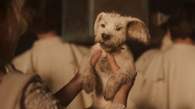 Baby Krypto captures our hearts in Puppy Bowl's new Supergirl teaser