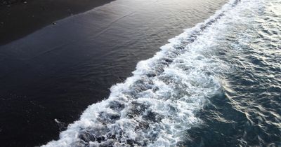 We’re Not Saying You’re A Genius, But Passing This Science Quiz Might Prove You Are