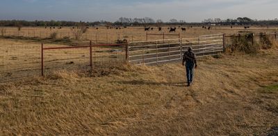 Sixth year of drought in Texas and Oklahoma leaves ranchers bracing for another harsh summer