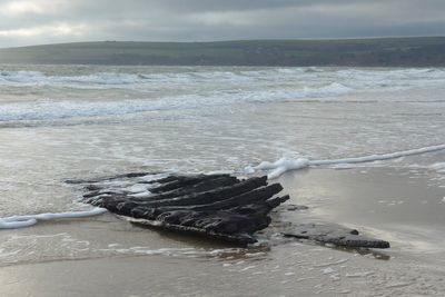 Timbers from 17th-century shipwreck wash up on beach after Storm Chandra