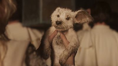 Baby Krypto Will Appear In Supergirl, And Fans Are Freaking Out