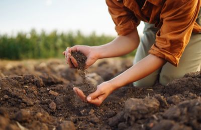 Soil Scientists Warn: This Contamination Is Spreading Fast in Home Gardens Across the South