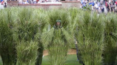 Bad Bunny Super Bowl Halftime Show: How Much Each Person Who Played a Tree Was Paid