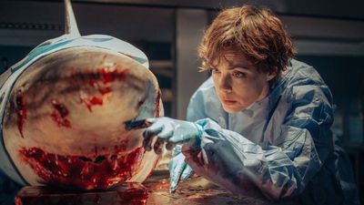 Sequel to Netflix's divisive shark horror hit Under Paris finds director in The Hills Have Eyes and Crawl helmer