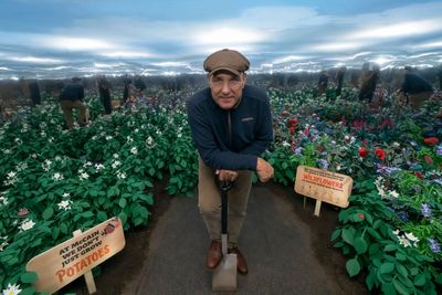 Vinnie Jones calls comparisons between his show and Jeremy Clarkson’s ‘upsetting’