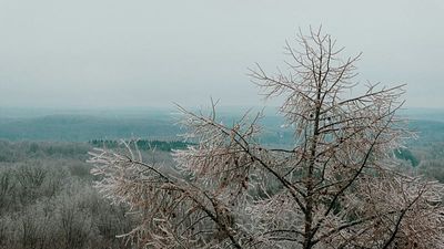 Cold Europe, burning south: January shows climate extremes at both ends of the planet